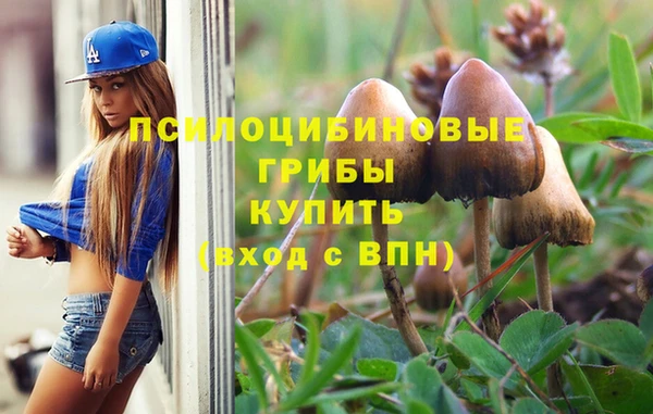 мяу мяу кристалл Нефтекумск