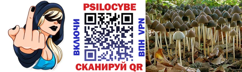 Псилоцибиновые грибы MAGIC MUSHROOMS  omg ссылка  Тетюши 